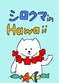 シロクマin ハワイ