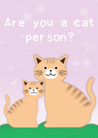 cat theme purple