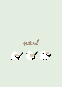 Long-tailed tit walking7 from Japan