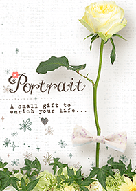 Rose portrait [Ywllow]