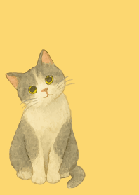 Cat tilting its head2 on lightyellow