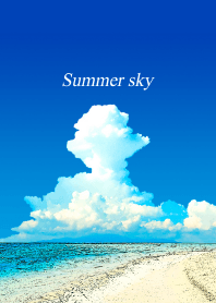 "Summer sky" vol.4
