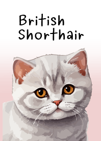 British Shorthair Cat Theme