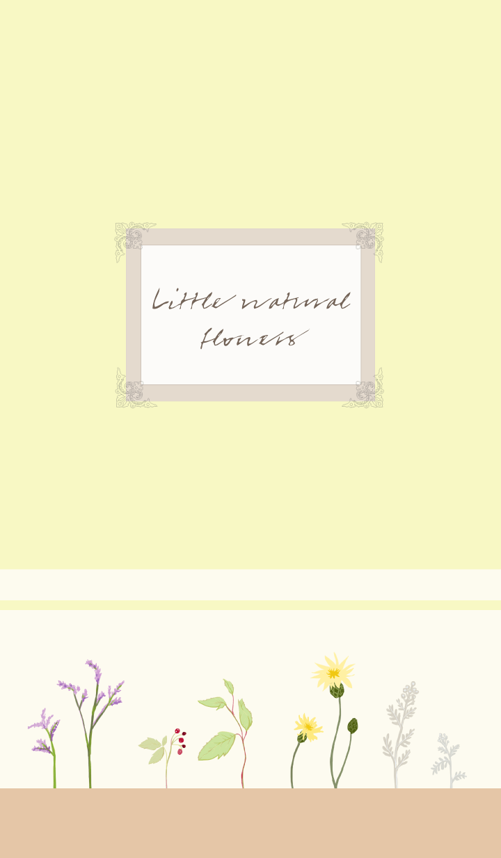 Little natural flowers -power-