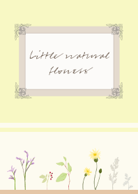 Little natural flowers -power-
