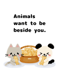 Animals want to be beside you.049-2White