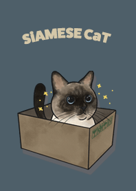 siamesecat1 / dark steel blue