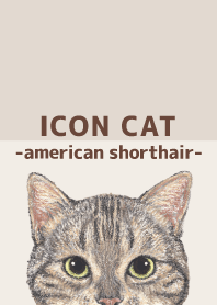 ICON CAT - American Shorthair - BROWN/02