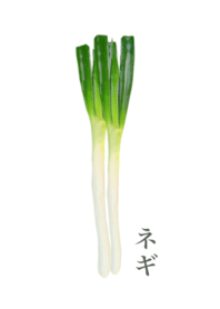 おいしい ネギ 6
