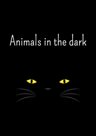 Animals in the dark