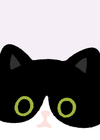 Tuxedo cat and Black cat15