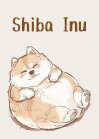 懶惰的小肥柴 1