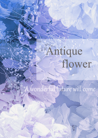 World of Antique Dried Flower12