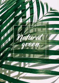 Natural green Coffee time_2