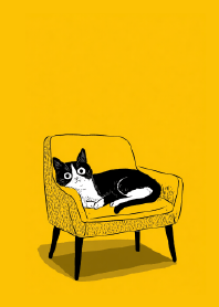 Mustard Kitty, Sassy Vibe Theme