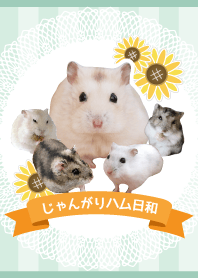 じゃんがりハム日和＠ペットグランプリ