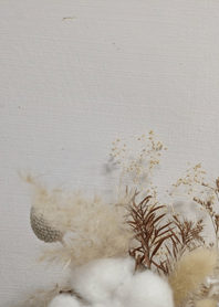 Background - Flowers 69E1d6