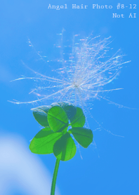 Angel Hair Photo#8-12Not AI