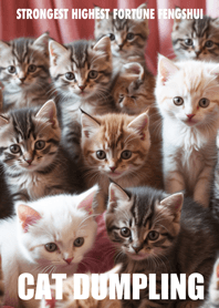 Cat dumpling 29