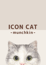 ICON CAT - Munchkin - BROWN/04