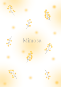 Cute little flower Mimosa