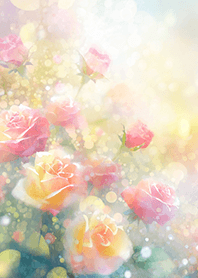 Beautiful rose flower(R2551)