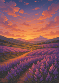 Lavender Sunset Dream Fields