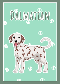 Dalmatian(Brown&White)
