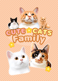 CUTE CATS Family BROWN【修正版】