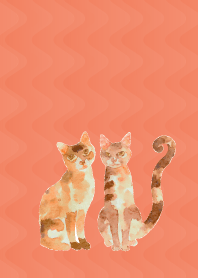 Cat siblings2 on R&Y