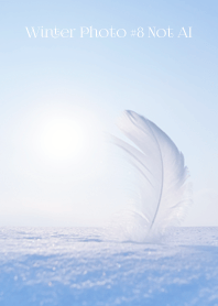 Winter Photo #8-7 Not AI