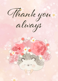 Thank you always Hedgehog