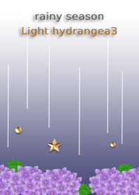 rainy season<Light hydrangea3>