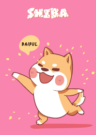 BAIPUL ใครไม่บะ ชิบะ 4 V04 e