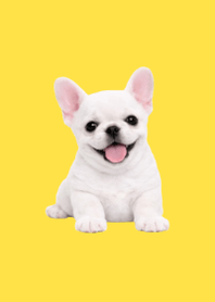 Plush Frenchie Yellow 02