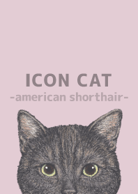 ICON CAT-American Shorthair-PASTEL PK/03