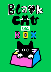 blackcat in box