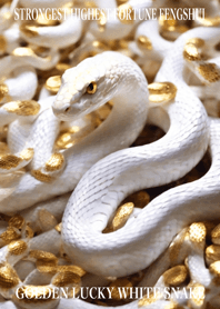 Golden Lucky White Snake 26