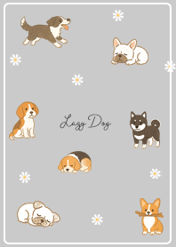 Lazy Dog 01_2