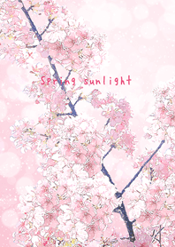 Spring sunlight -SAKURA 02