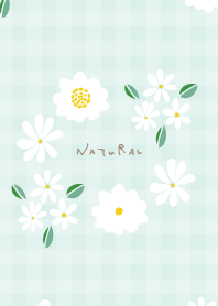 Small white flower cute4 from Japan