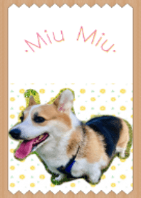 Miu Miu