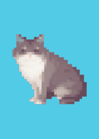 Black Cute Cat Pixel Art Theme  Blue 03