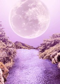 pale pink moon forest
