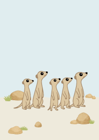 cute sneaky Meerkat.white