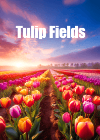 "Tulip Fields vol.4" theme