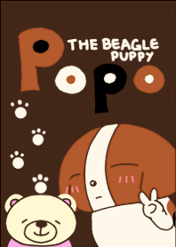 Popo The Beagle Puppy
