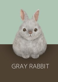 灰色兔子/棕色 18.v2
