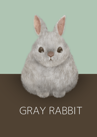 GRAY RABBIT/Brown 18.v2