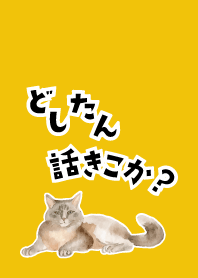 yellow 相談にのる猫